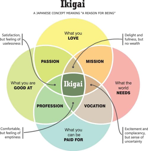 Ikigai concept